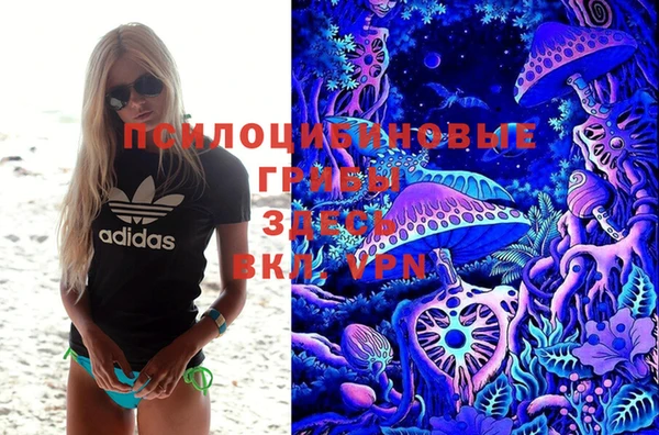 apvp Осташков