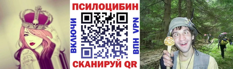 купить наркотики сайты Воронеж Галлюциногенные грибы Psilocybe