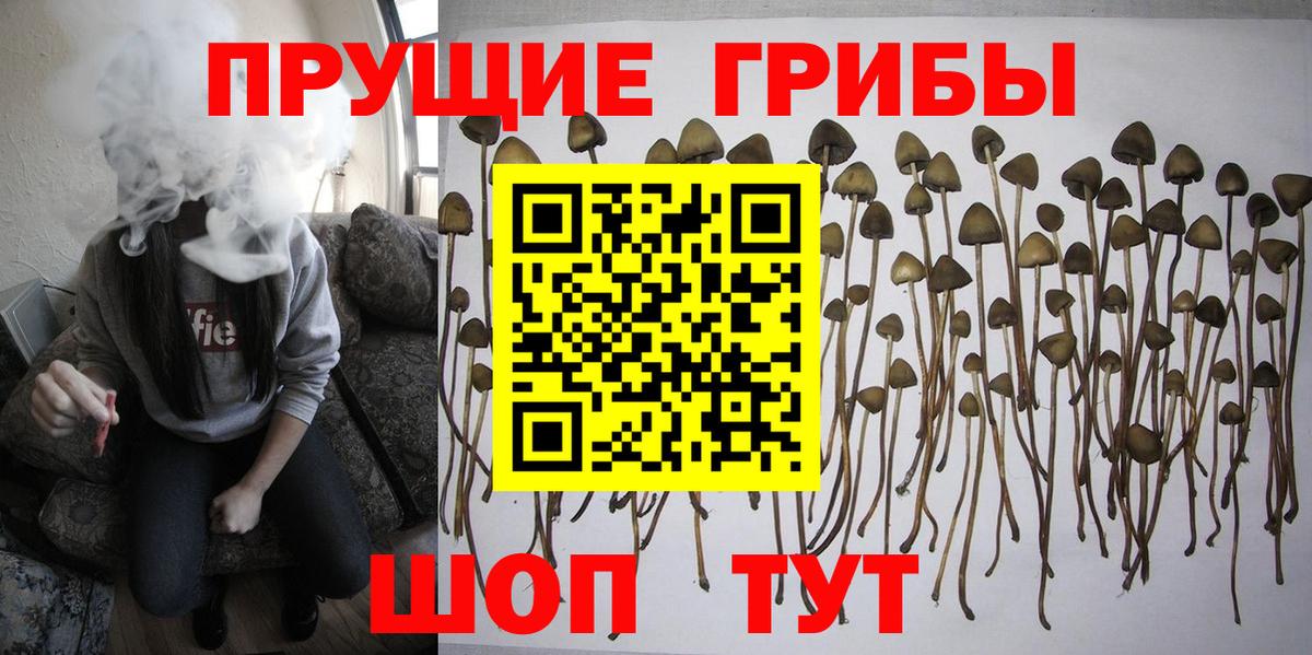 Воронеж  Галлюциногенные грибы MAGIC MUSHROOMS  Псилоцибиновые грибы мицелий  Вход с VPN 