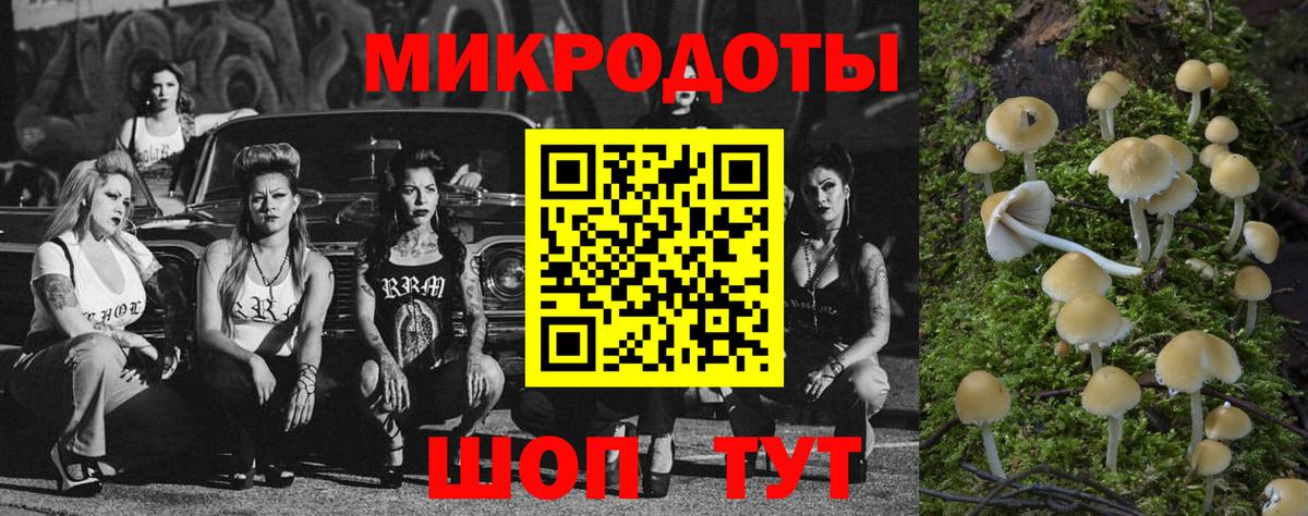 Галлюциногенные грибы GOLDEN TEACHER  Воронеж  Галлюциногенные грибы Magic Shrooms 